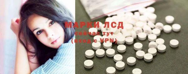 PSILOCYBIN Аркадак