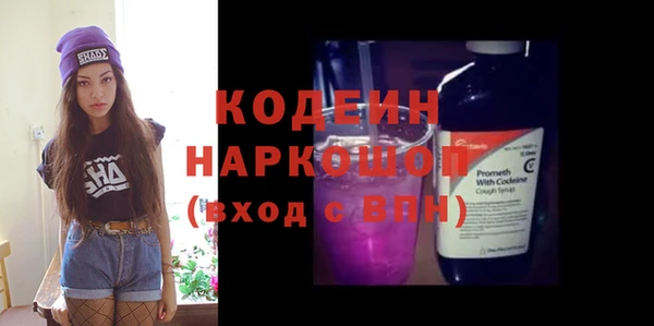 шишки Арсеньев