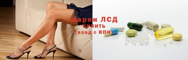 PSILOCYBIN Аркадак