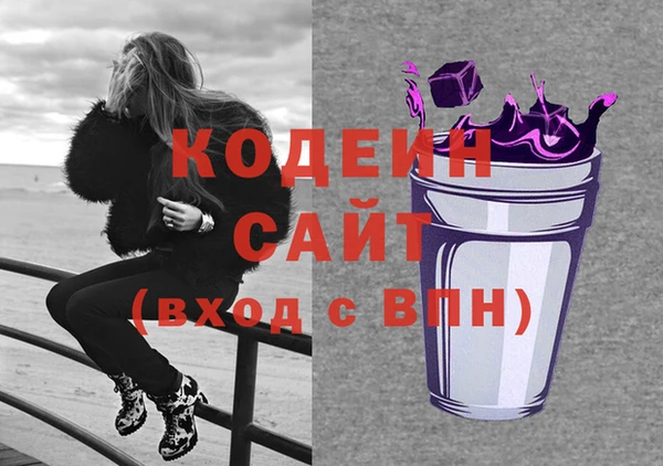 шишки Арсеньев