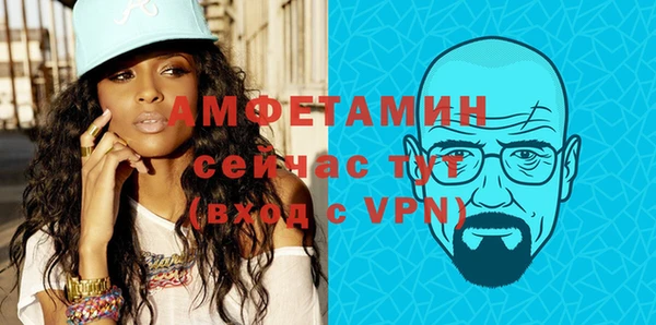 шишки Арсеньев