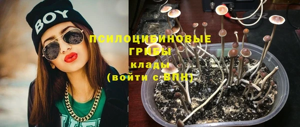 шишки Арсеньев