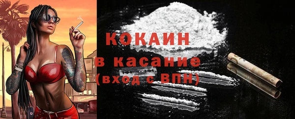 шишки Арсеньев