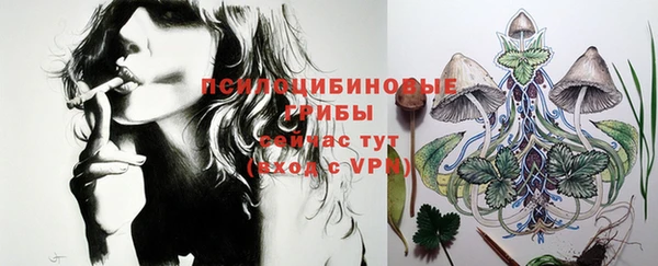 шишки Арсеньев