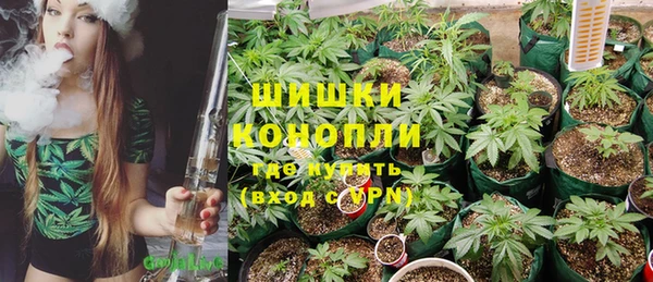 PSILOCYBIN Аркадак