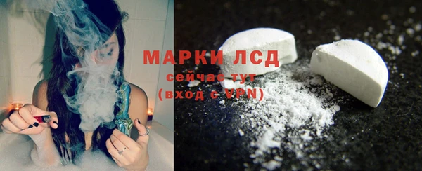 PSILOCYBIN Аркадак