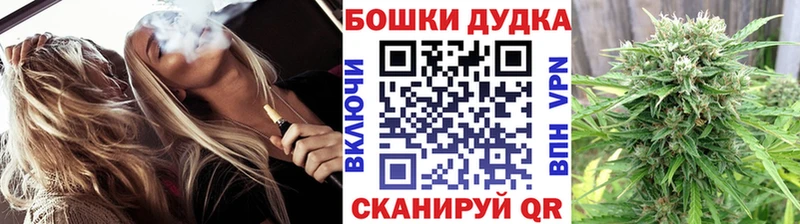 купить закладку  Снежногорск  Каннабис сатива 